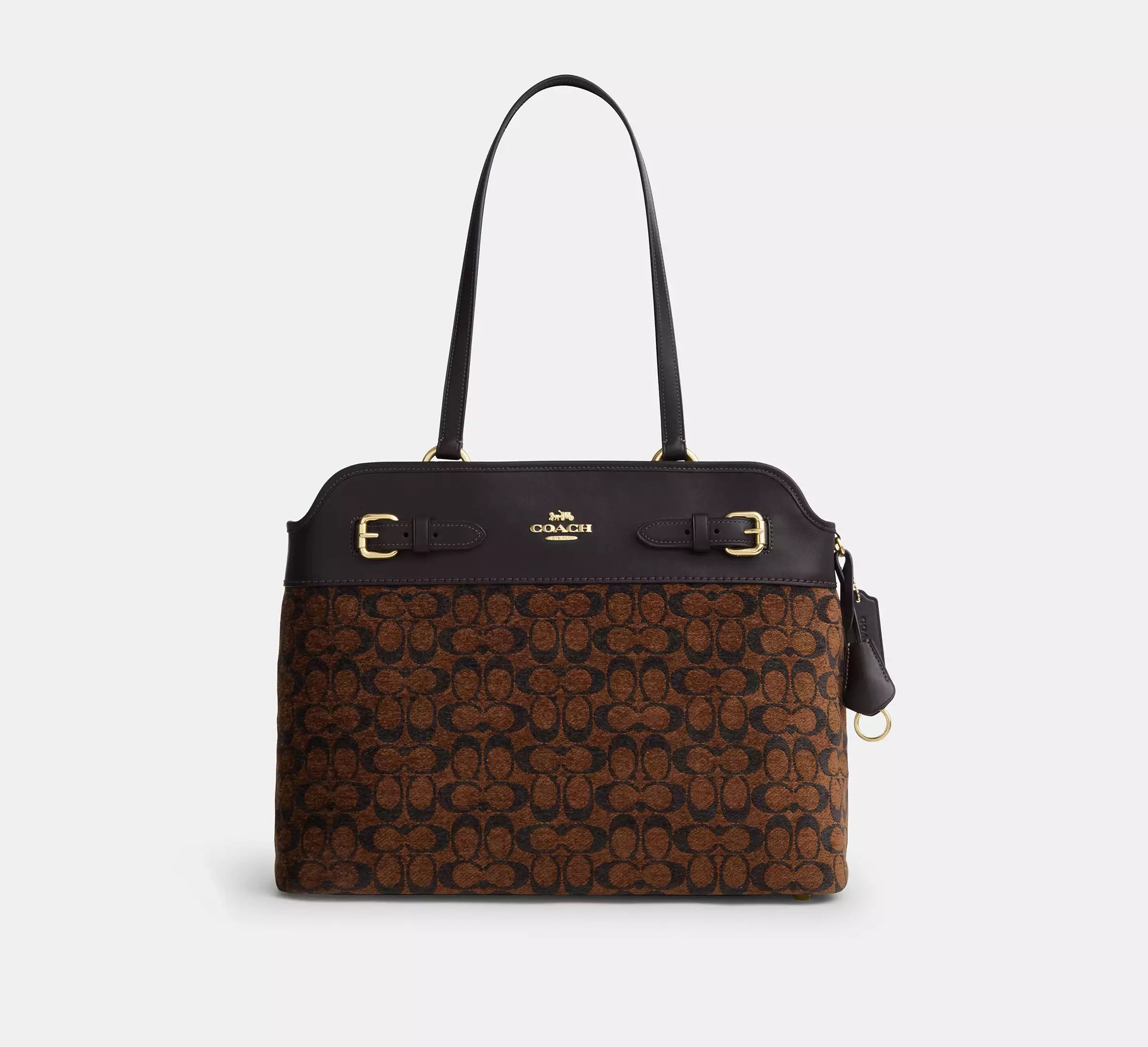 Easton Tote Bag In Signature Chenille Truffle Coach